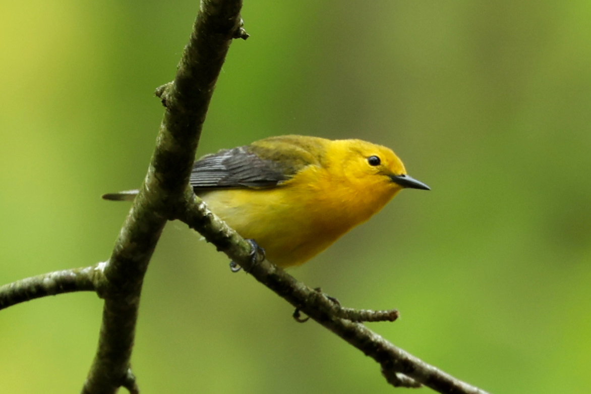 Year in Review: 2023