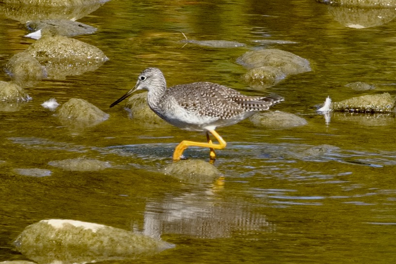 Greenway Park – Oct 2/23