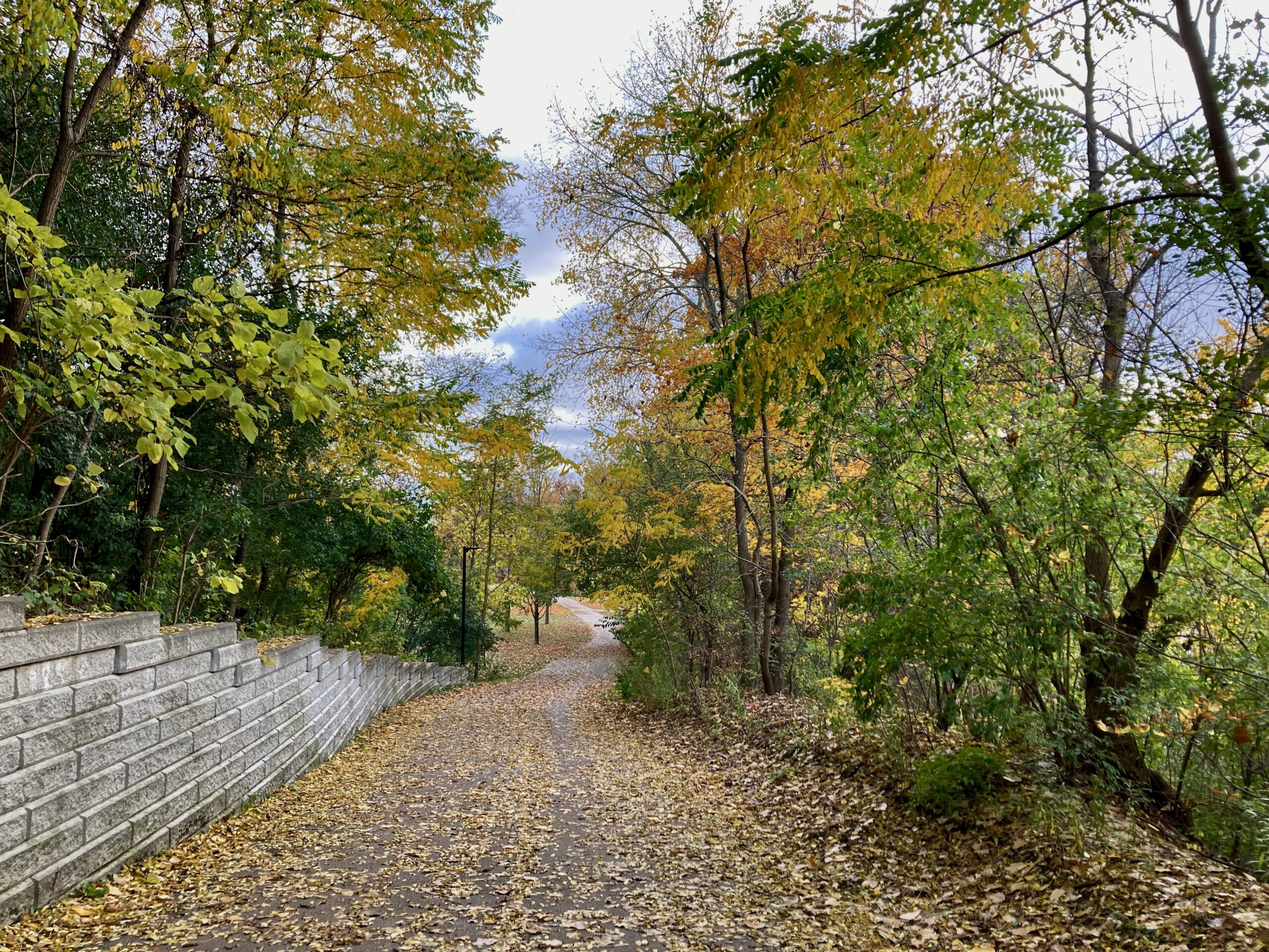 Neighbourhood Walks – September/October 2023
