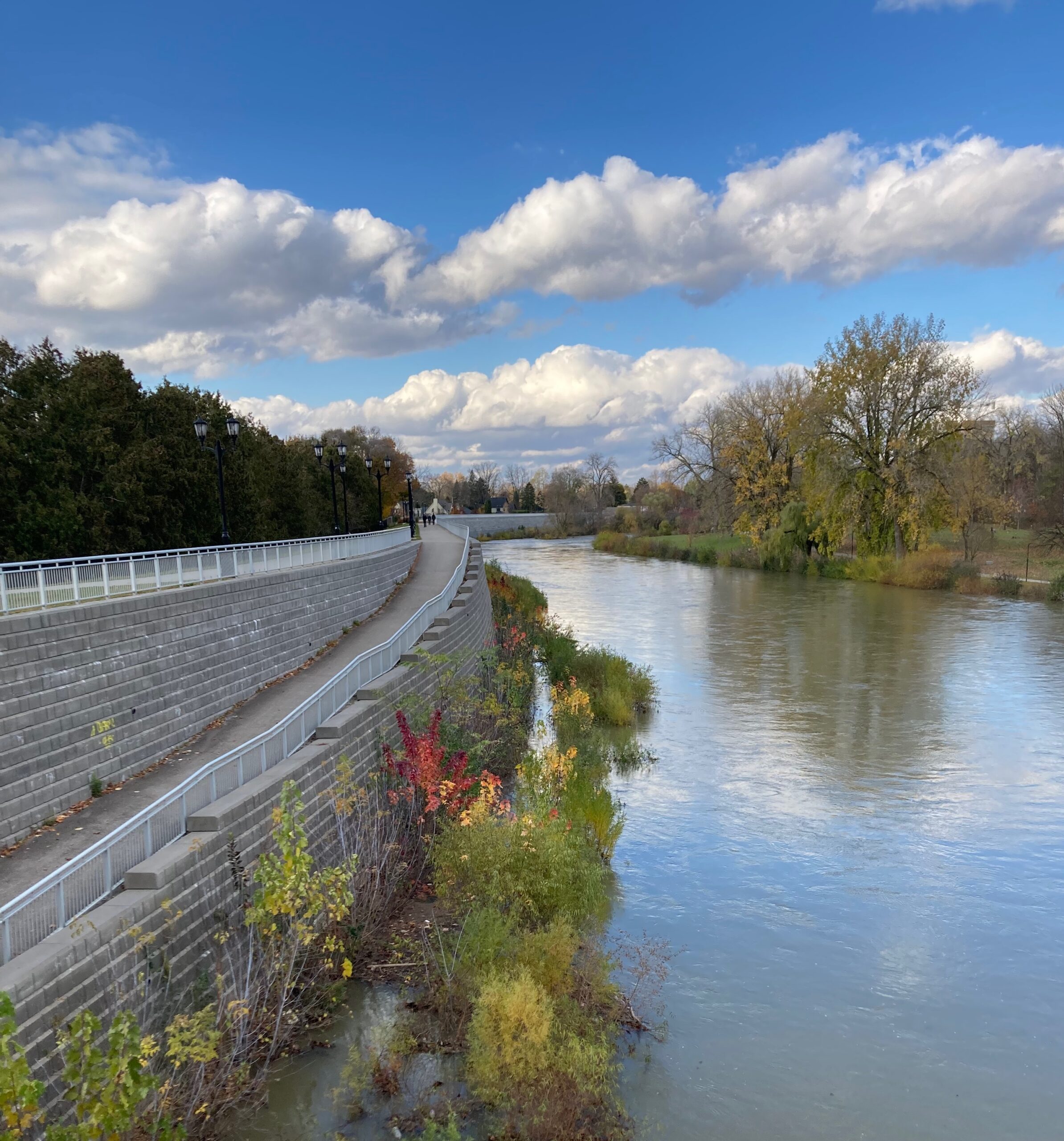 Neighbourhood Walks – November, 2023