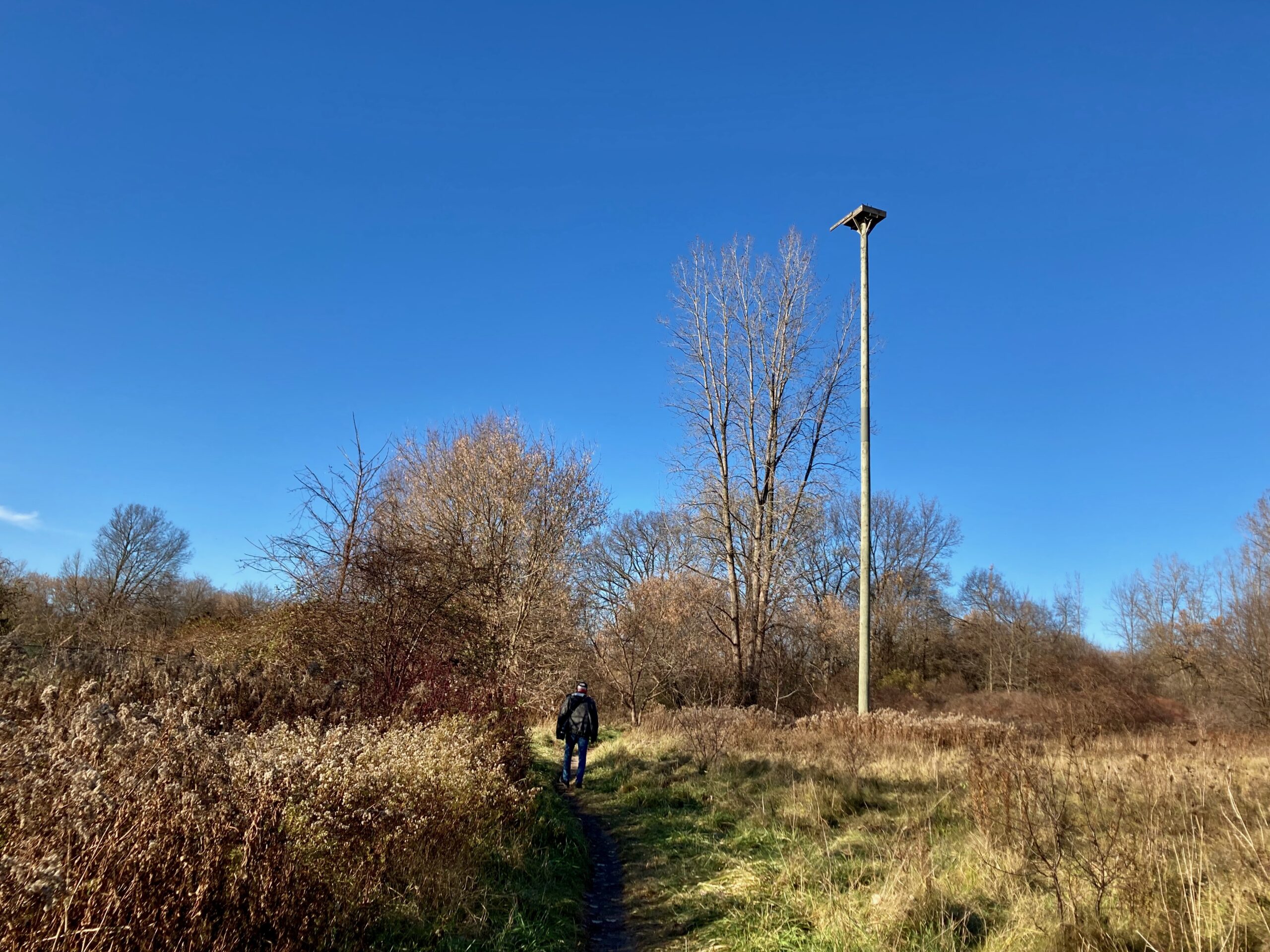 Local parks in November, 2023