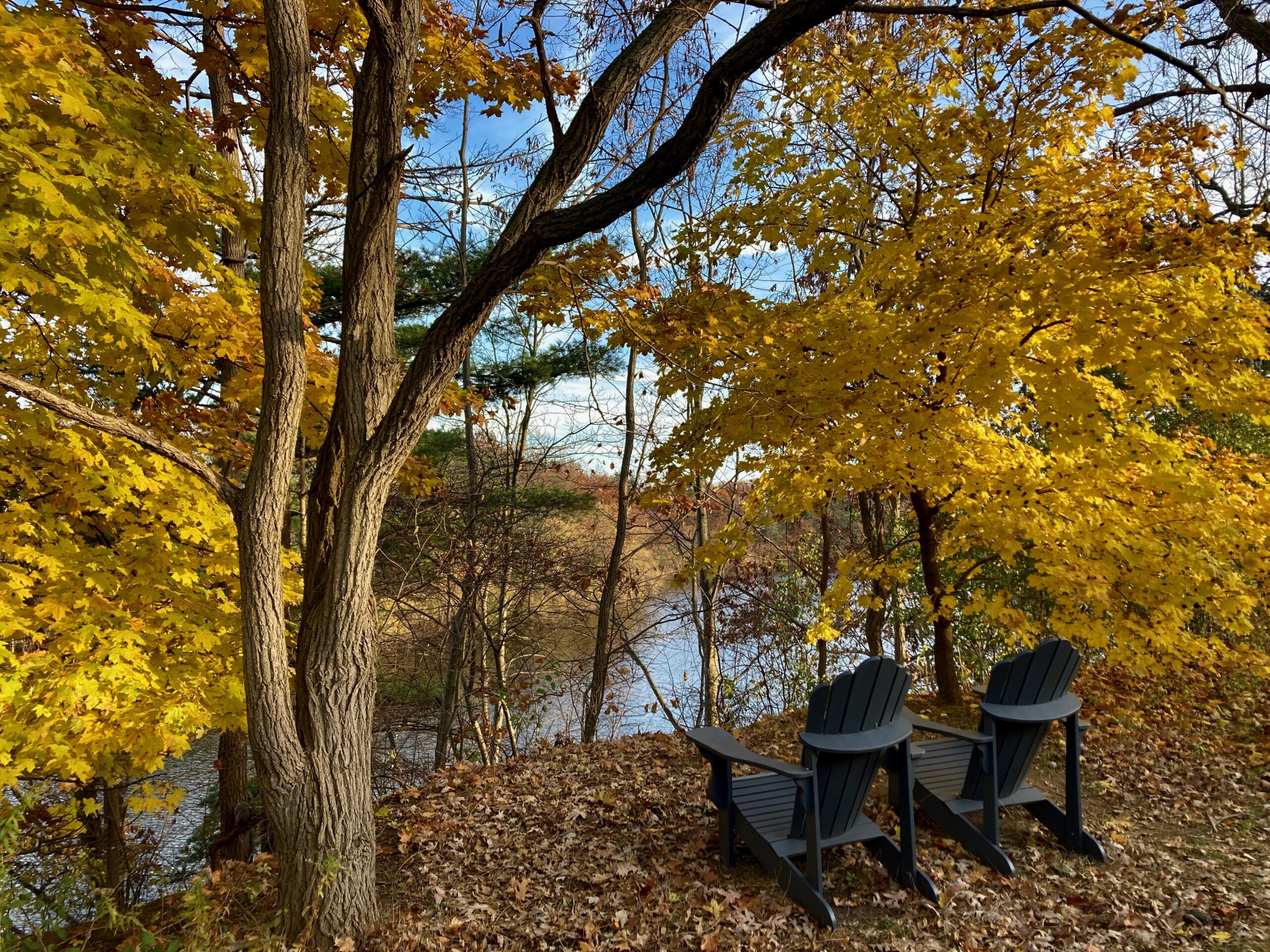 Two More Local Parks in November