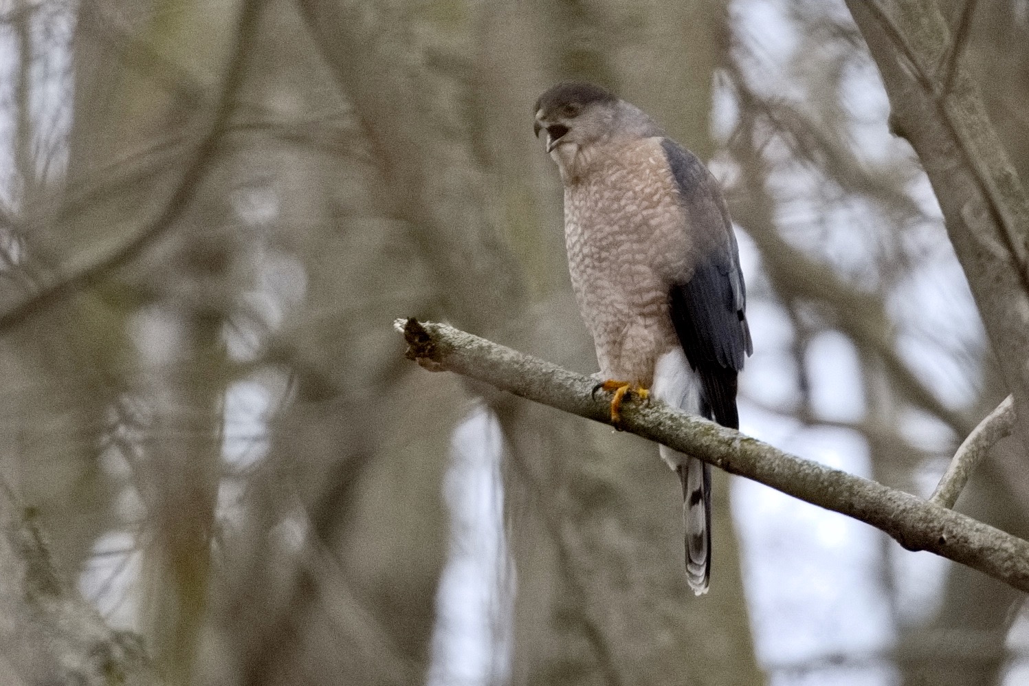 February 2024, so far…