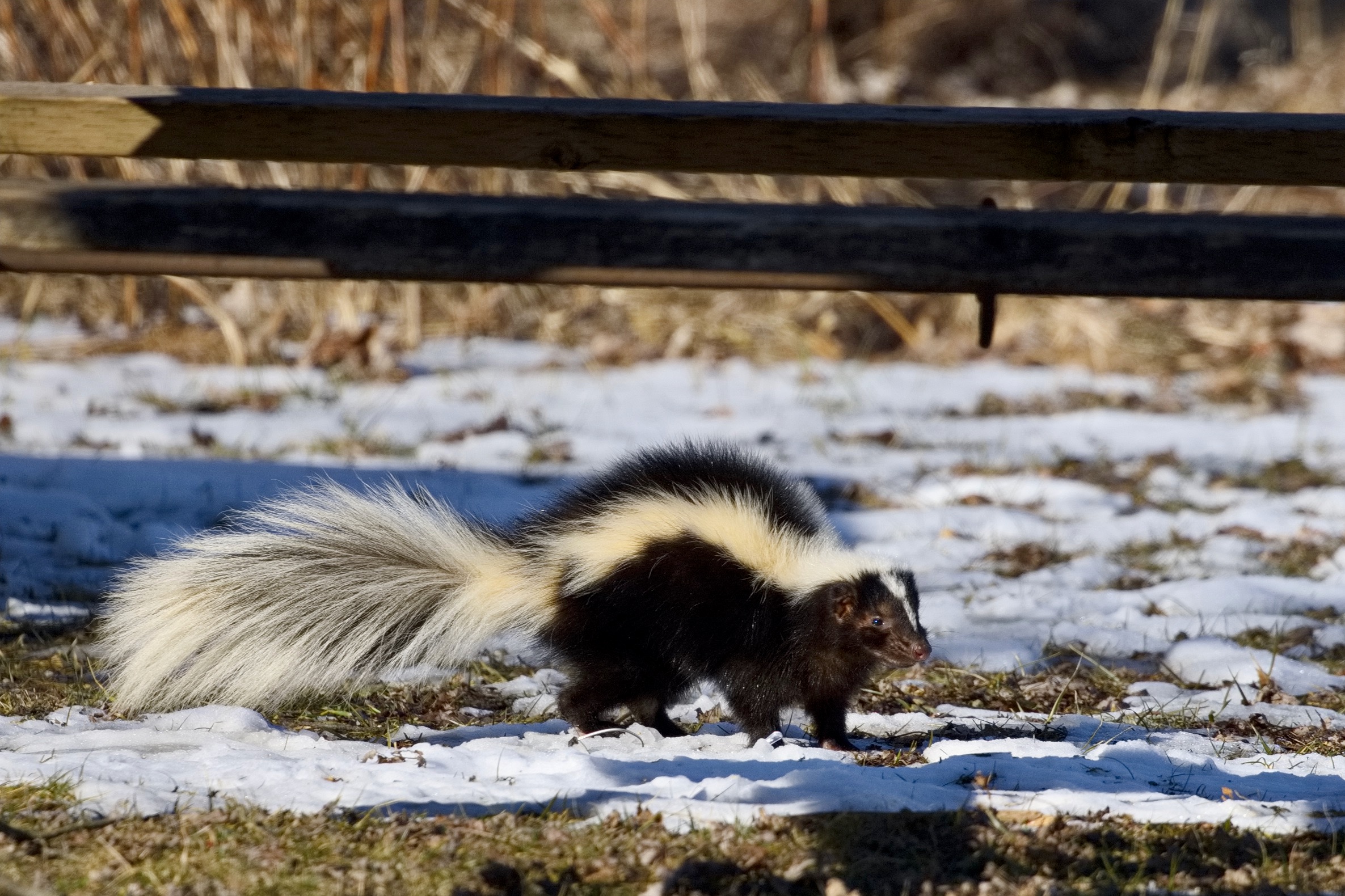 It’s still February…