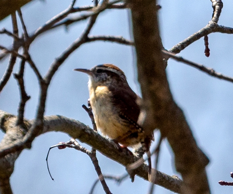 April 13 to 19, 2025