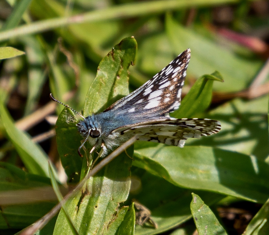 The Coves – September 7, 2025