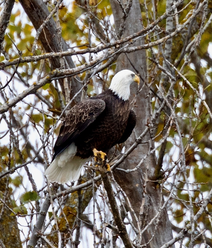 Columbia Lake, Waterloo – October 27, 2025