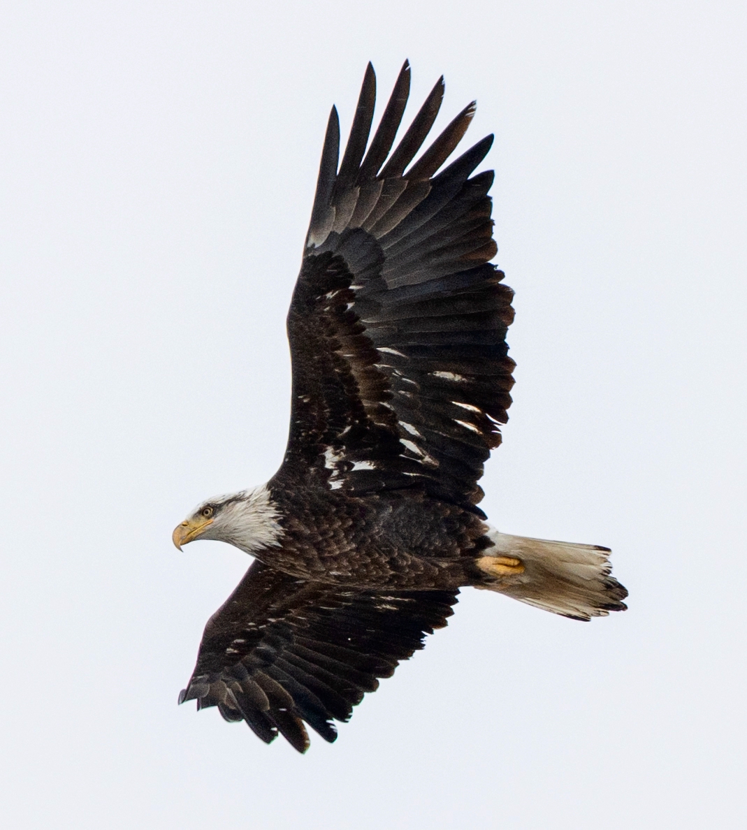 New Year’s Day Walk – January 1, 2026