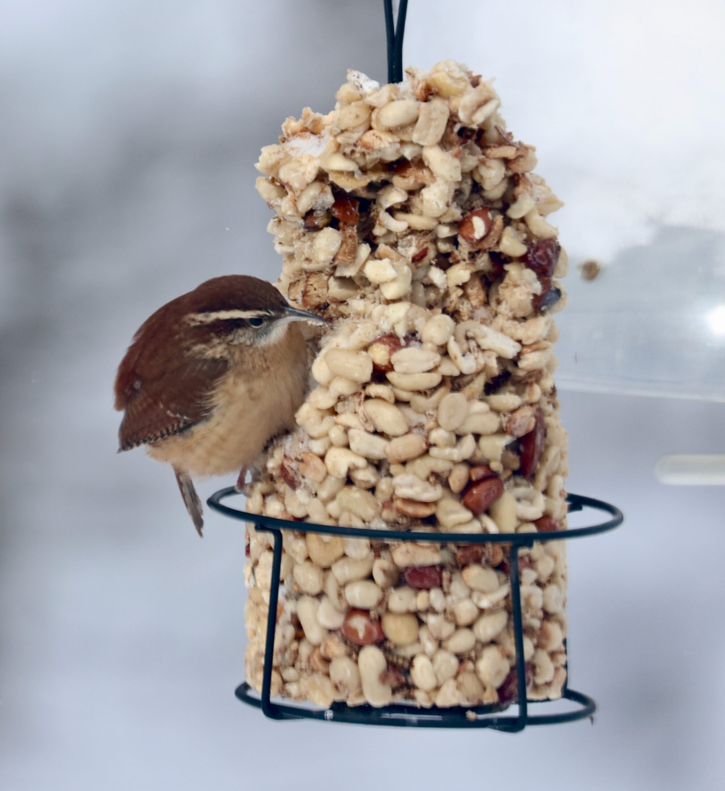 January to April, 2025