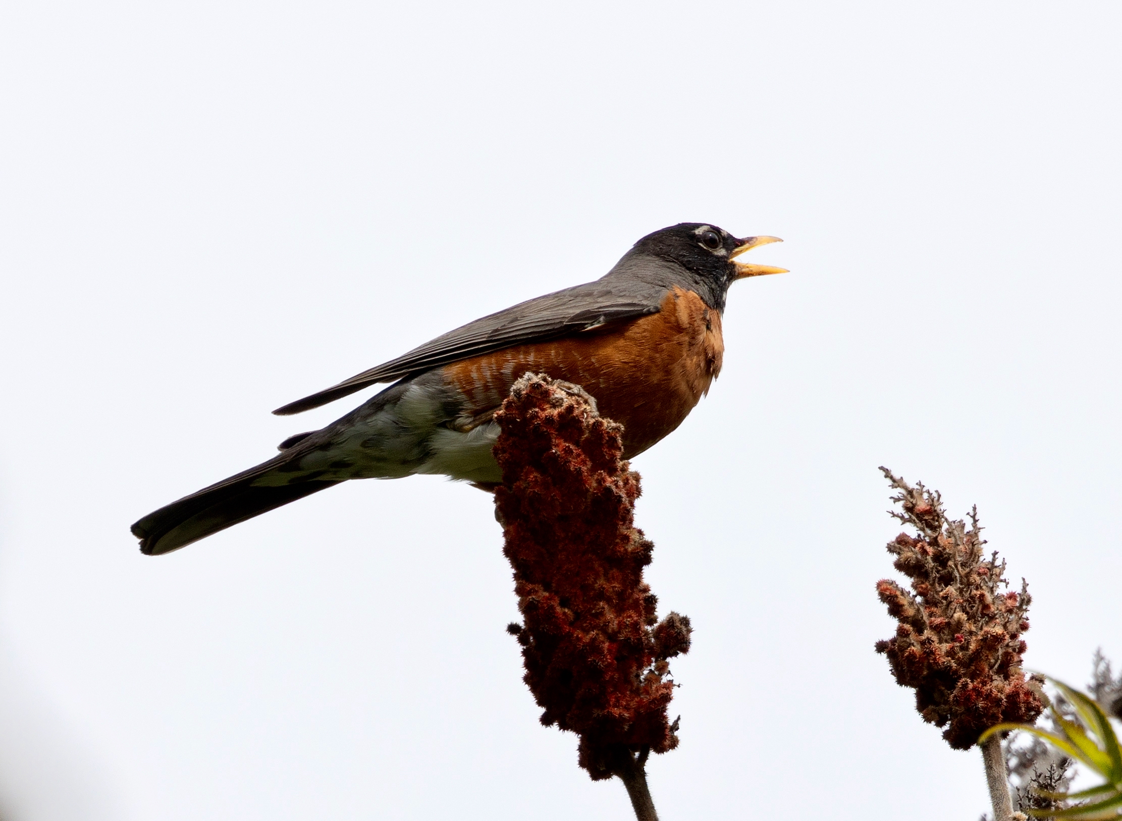 Looking back at May, 2025