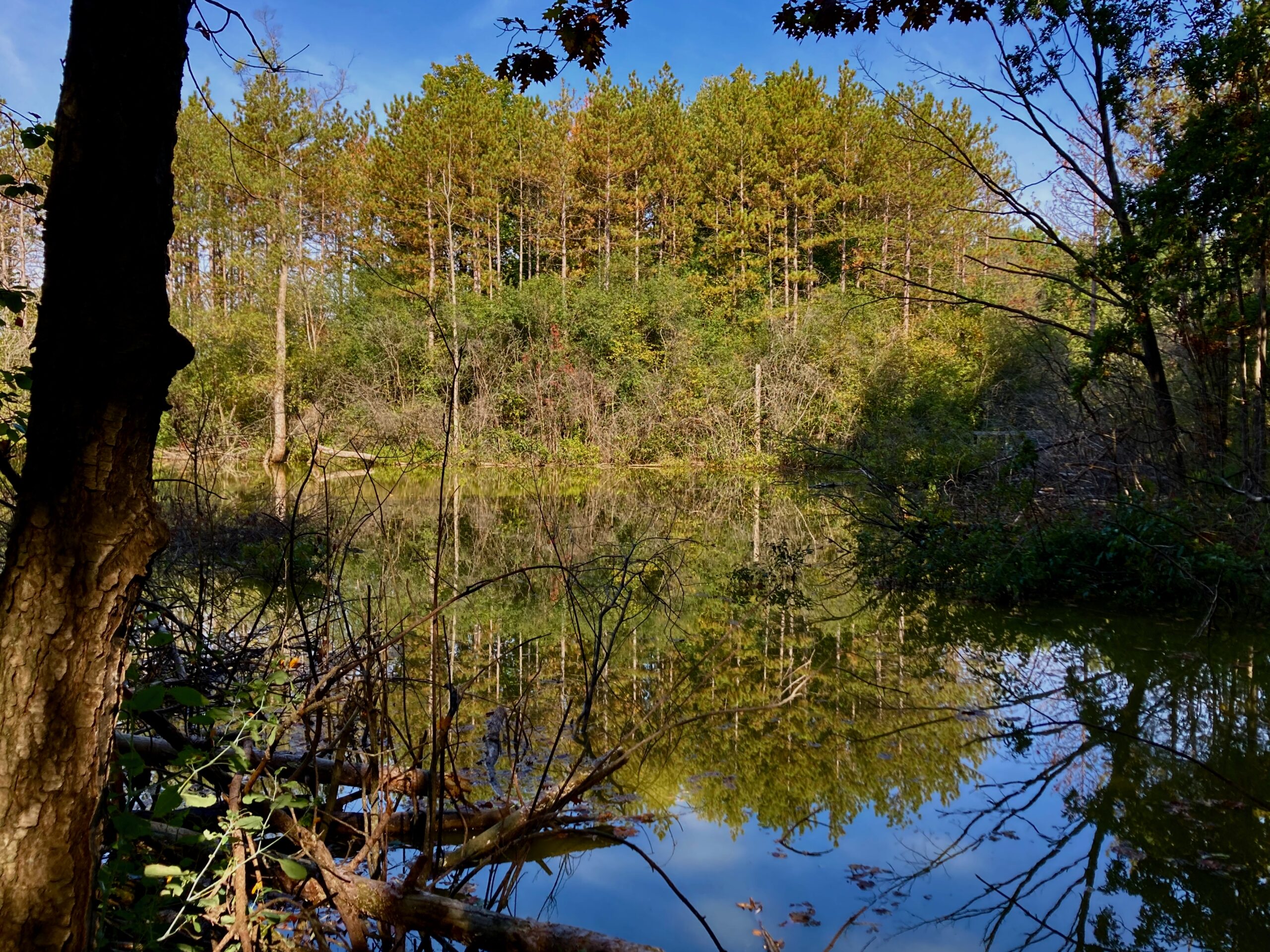 Kirk-Cousins Management Area – September 21, 2025