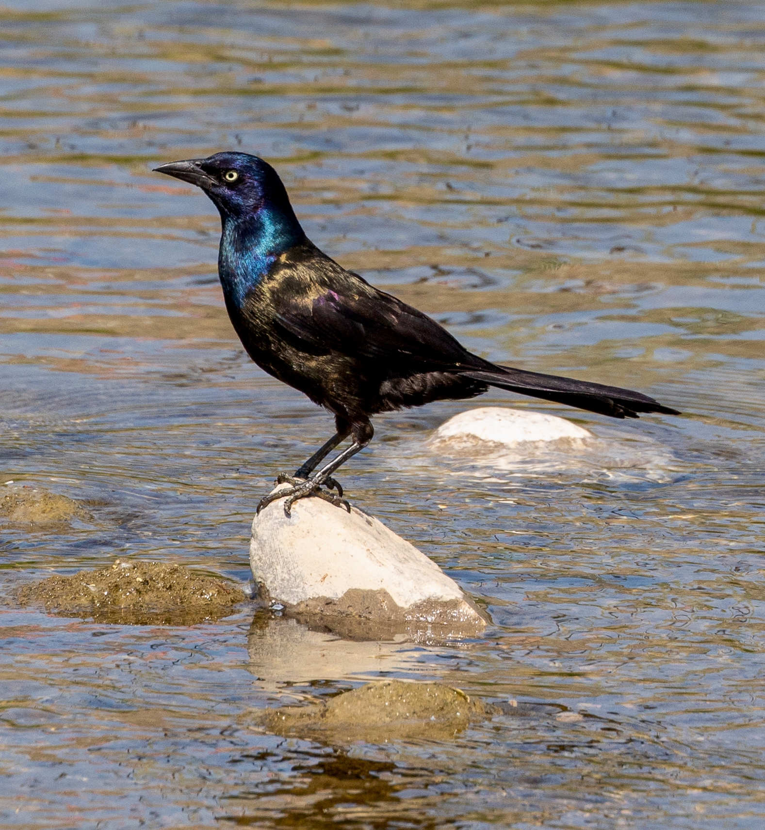 Looking Back at June 2025