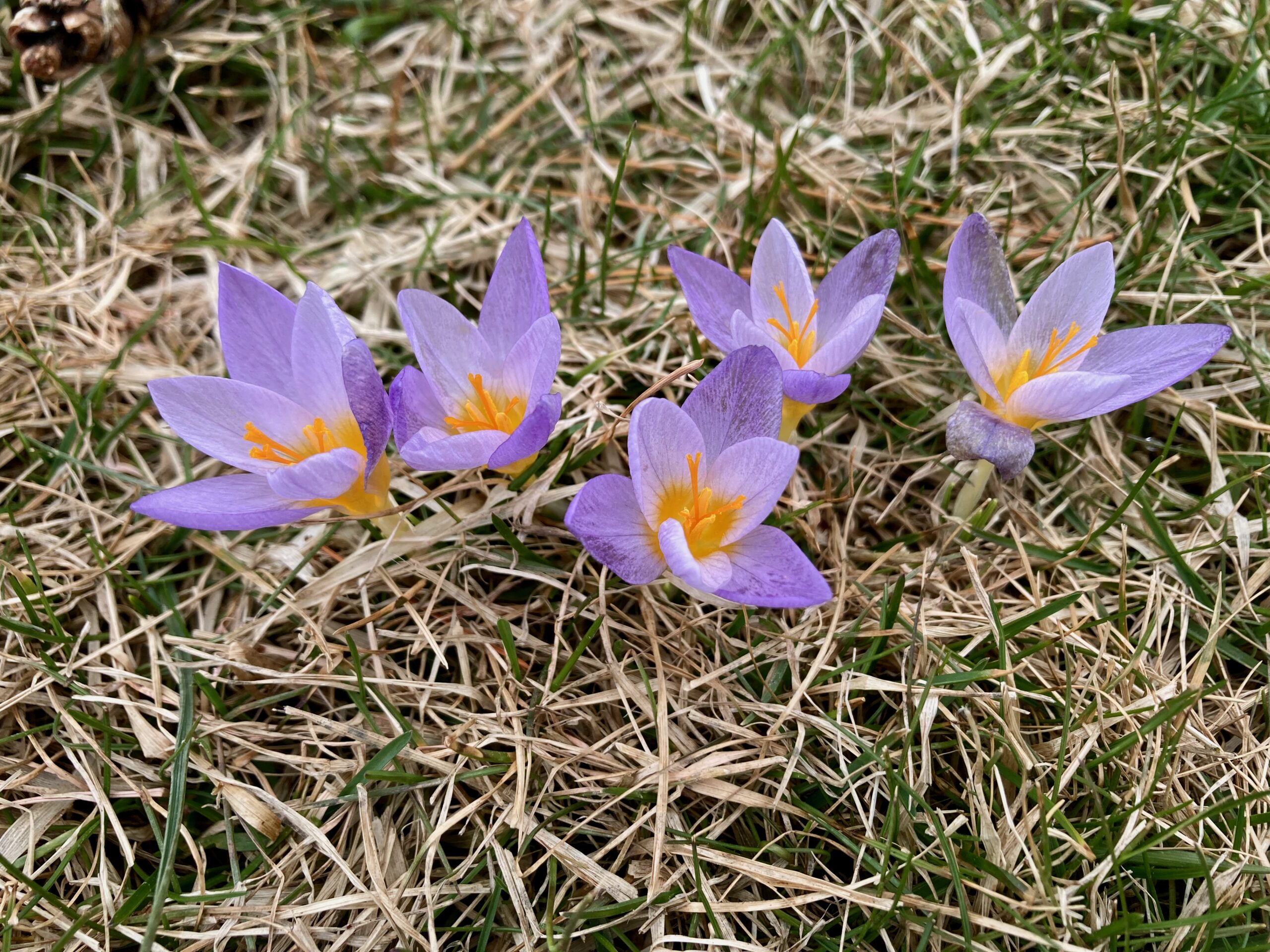 Hamilton, Ontario –          March 19, 2026