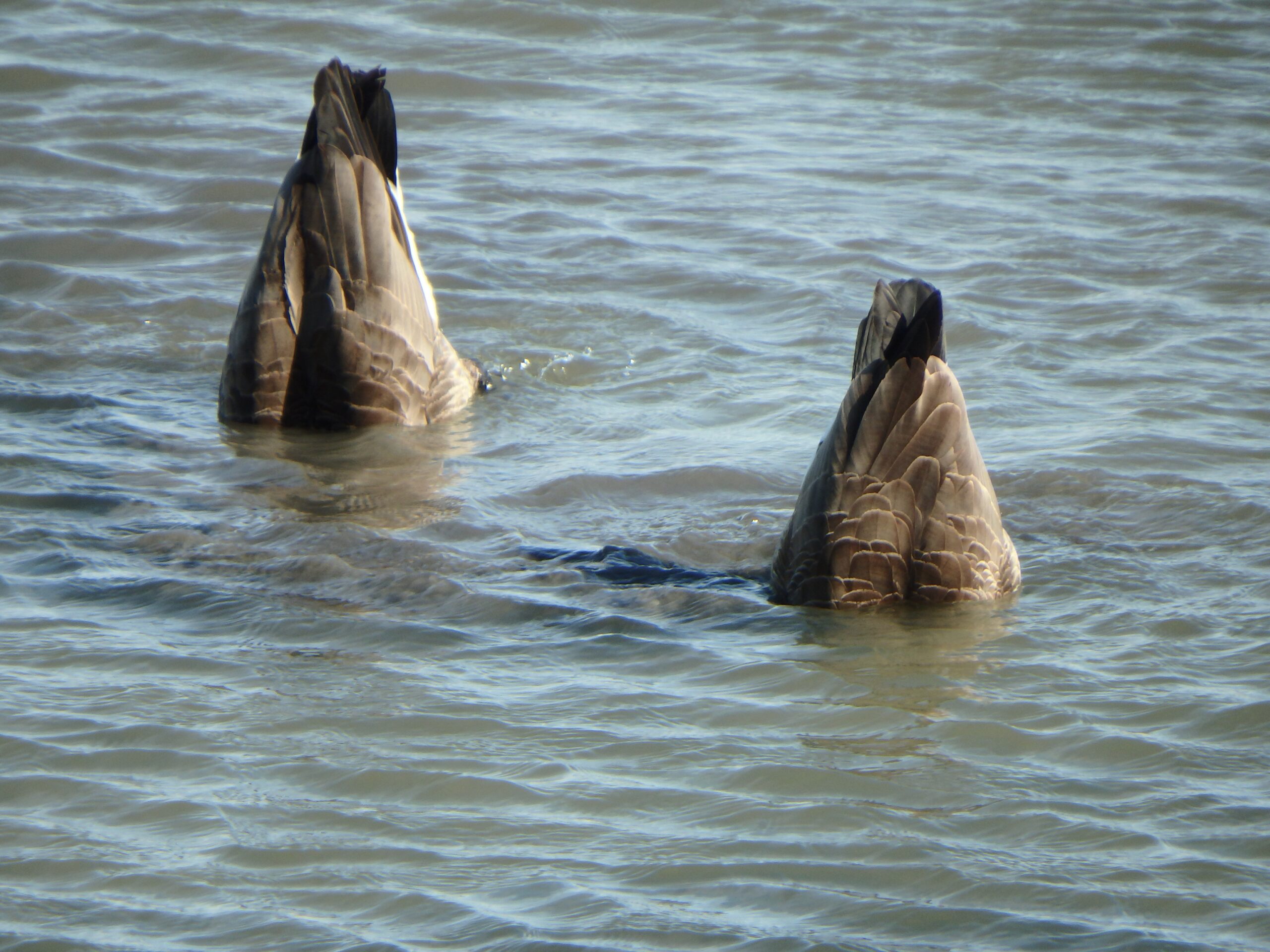 A Day in Hamilton, Ontario – March 19, 2026