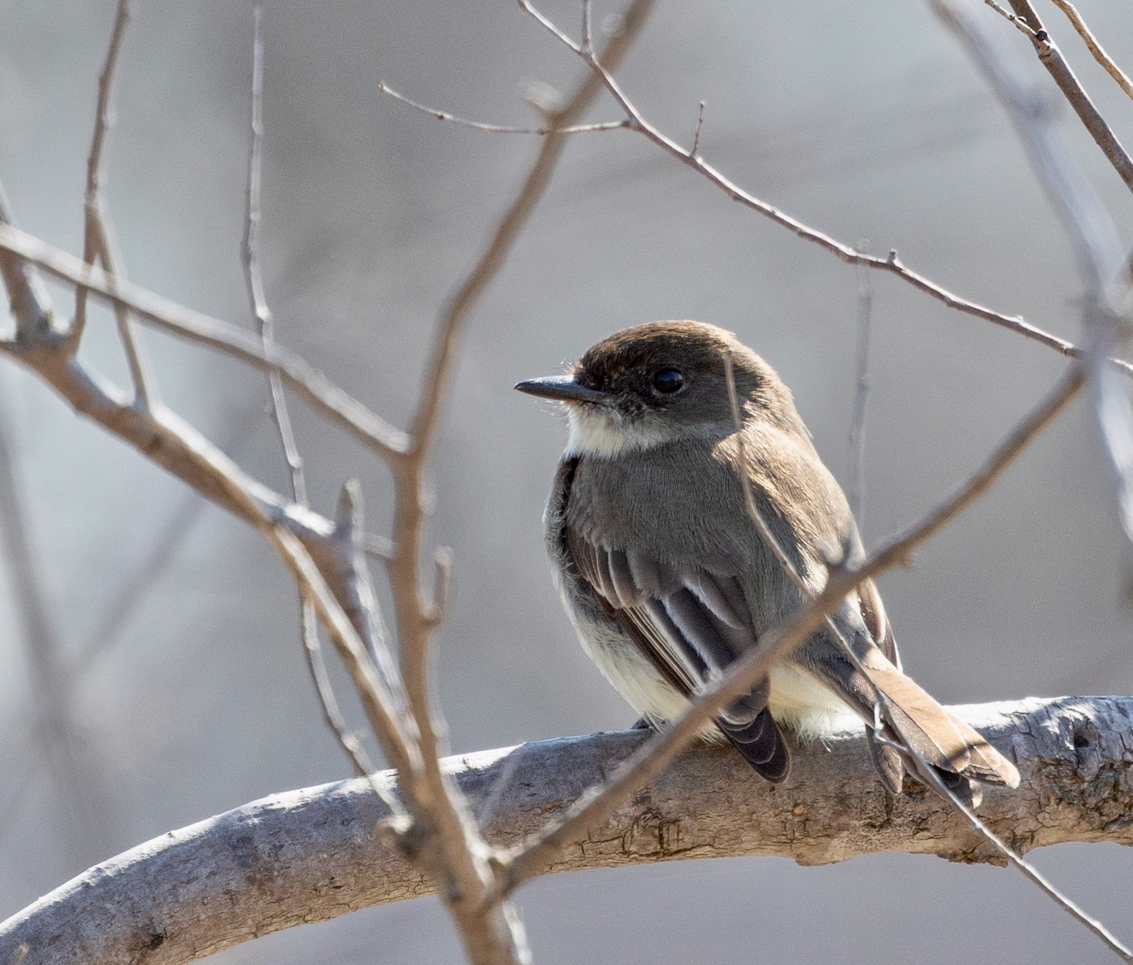 Komoka Provincial Park – The Ponds, April 8, 2026
