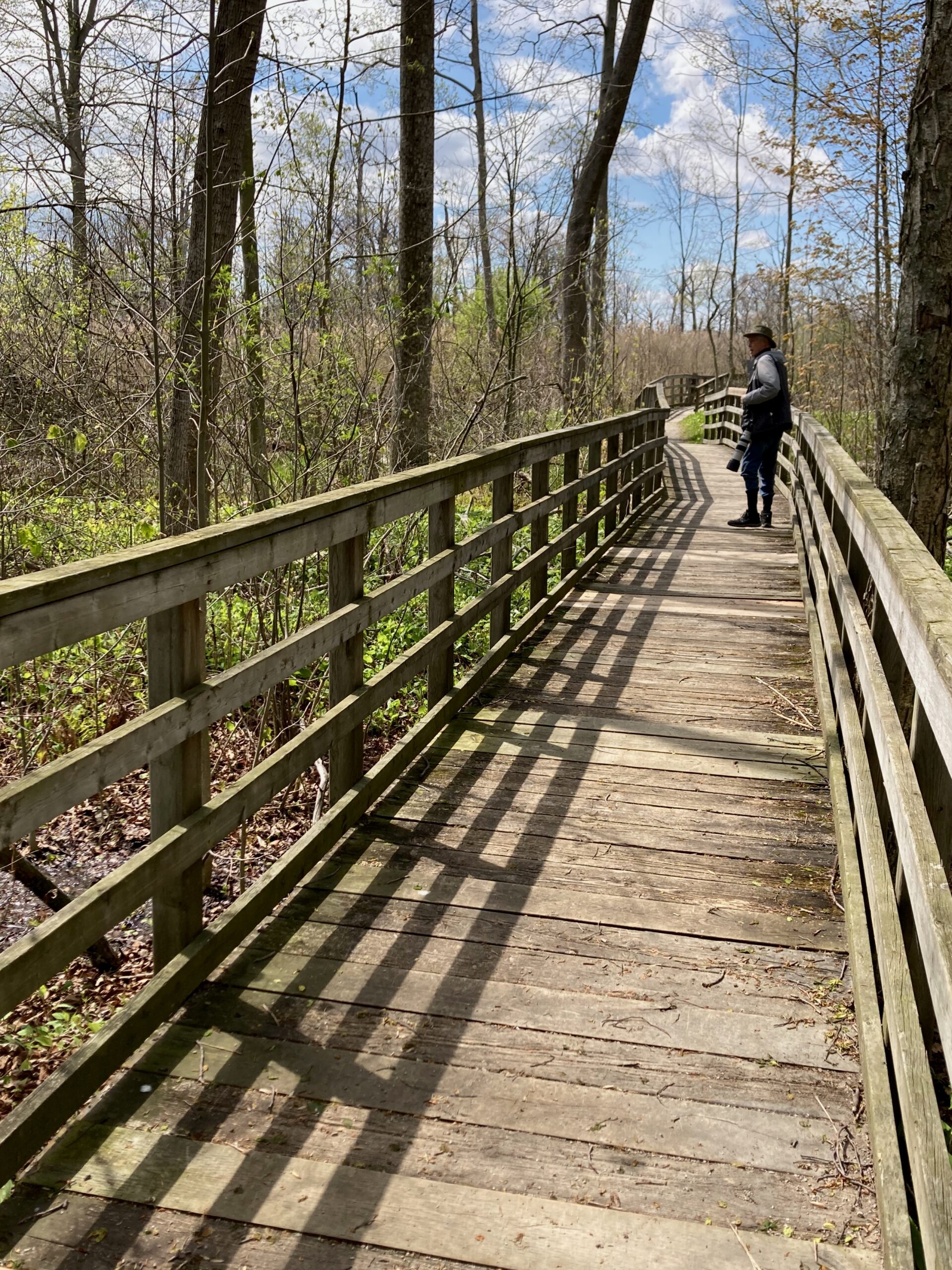 South Point West and Spicebush Trails – May 11, 2026